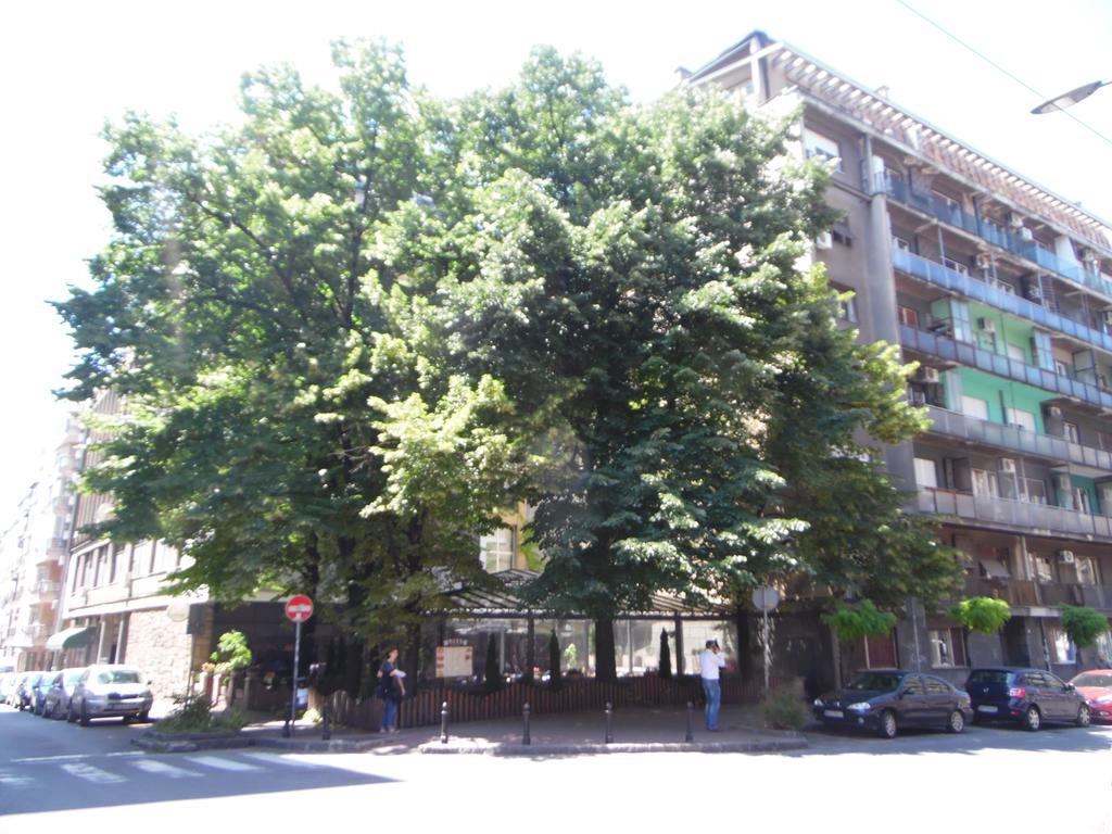 Apartment Vracar Belgrad Exterior foto