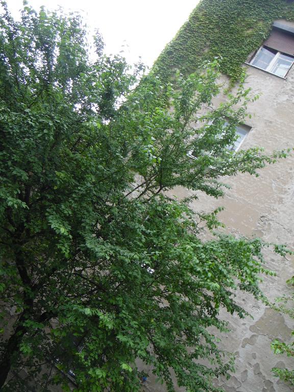 Apartment Vracar Belgrad Exterior foto